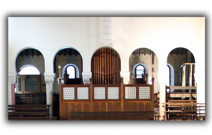 Organ